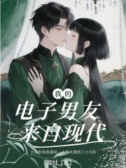 我的电子男友来自现代
